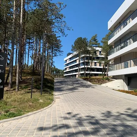 Shellter By The Sea *