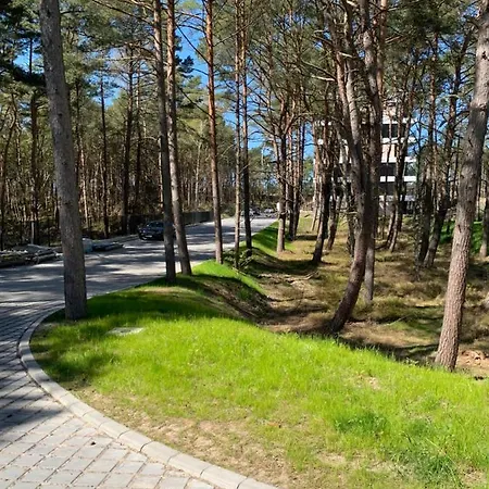 Shellter By The Sea * ロゴボ