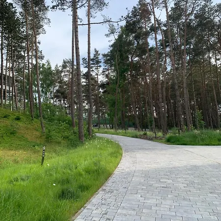 Shellter By The Sea *