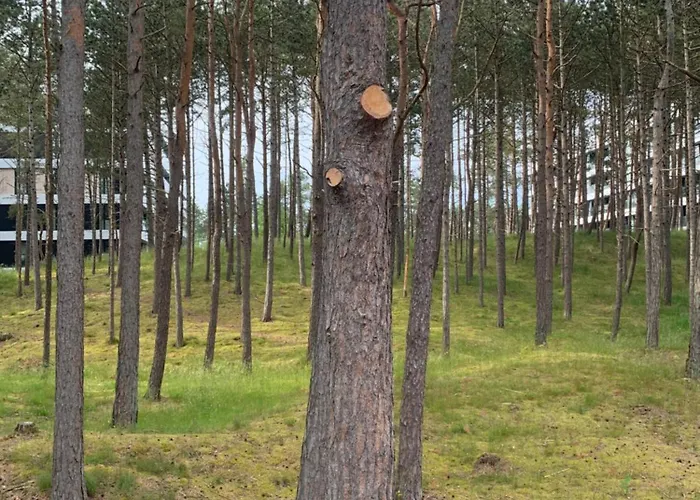 Shellter By The Sea * Rogowo (Gryfice)